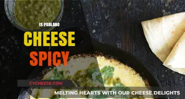 Is Poblano Cheese Spicy? Exploring Its Mild Heat and Flavor Profile