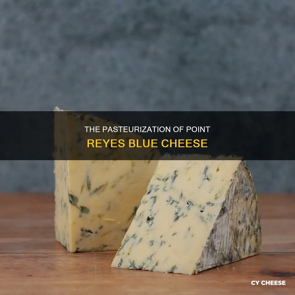 is point reyes blue cheese pasteurized