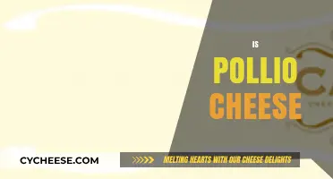 Exploring Pollio Cheese: Origins, Flavor, and Culinary Uses Revealed