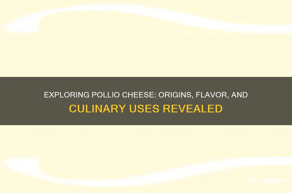 is pollio cheese