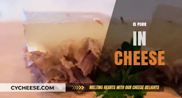 Is Pork in Cheese? Unraveling the Ingredients and Myths