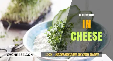 Is Potassium in Cheese? Uncovering Nutrient Facts in Dairy Products