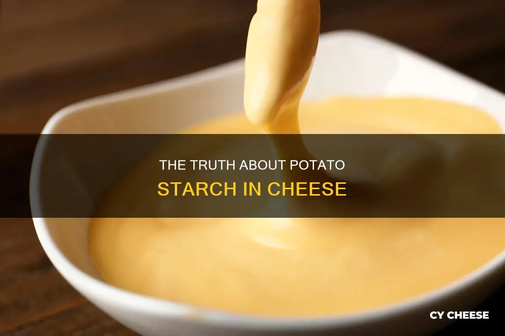 is potato starch in cheese bad for you