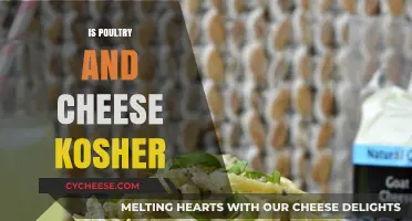 Is Poultry and Cheese Kosher? Exploring Jewish Dietary Laws and Restrictions