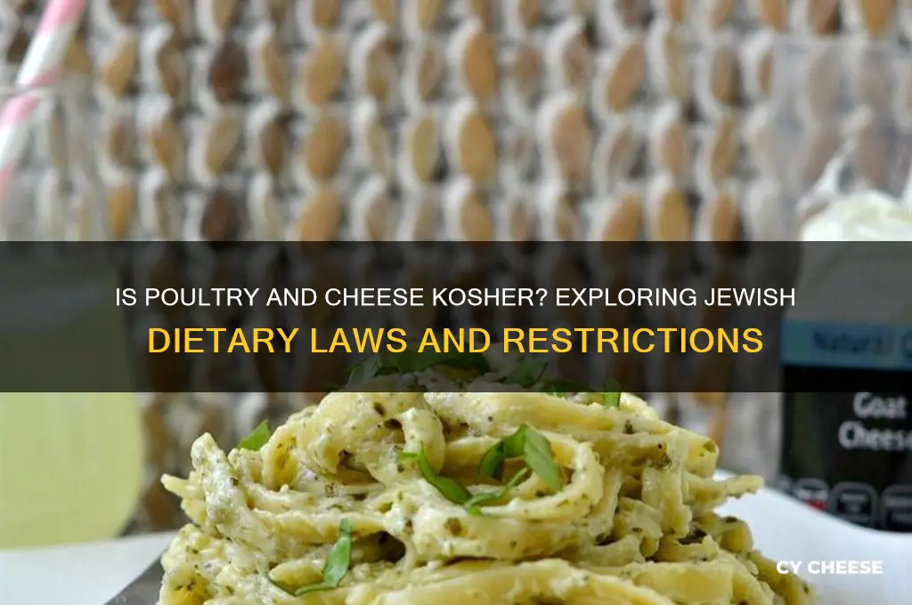 is poultry and cheese kosher