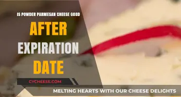 Expired Powdered Parmesan: Safe to Eat or Toss It Out?