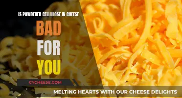 Cellulose Powder in Cheese: Harmful or Harmless?