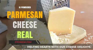The Truth About Powdered Parmesan Cheese