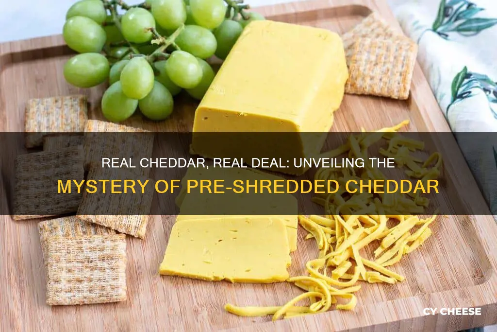 is pre shredded cheddar cheese real