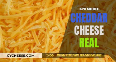 Shredded Cheddar: Real Cheese or Fake Food?