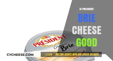 Is President Brie Cheese Worth the Hype? A Tasty Review