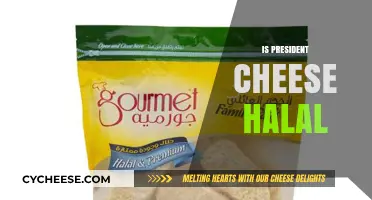 Is President Cheese Halal? Exploring Ingredients and Certification