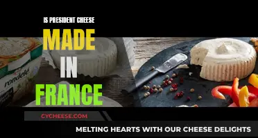 President Cheese: A True French Delicacy?