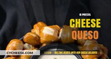 Is Pretzel Cheese Queso? Unraveling the Cheesy Snack Debate