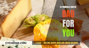 Primula Cheese: Healthy or Harmful?