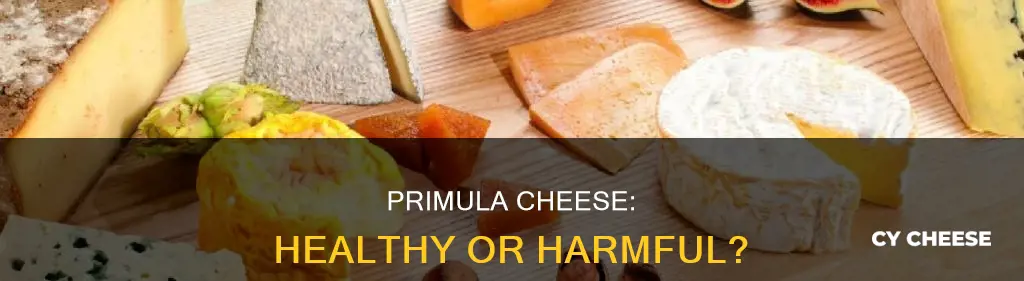 is primula cheese bad for you