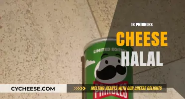 Is Pringles Cheese Halal? Exploring Ingredients and Certification