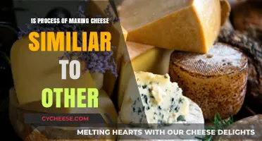 Cheese Making: How It Compares to Other Fermentation Processes