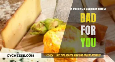 The Dark Side of Processed Cheese: Is It Healthy?