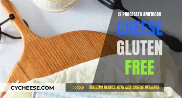 Gluten-Free American Cheese: Processed, but Safe?