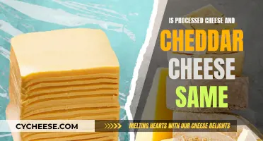 Processed Cheese: Is It the Same as Cheddar?