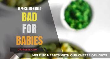 Processed Cheese: Safe or Not for Babies?