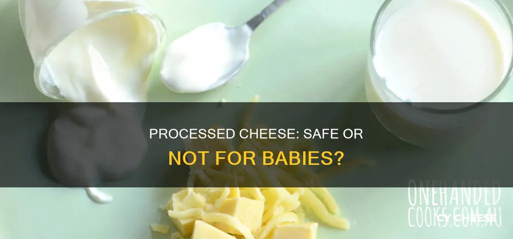 is processed cheese bad for babies