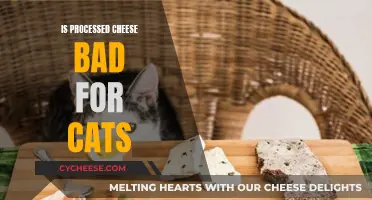 Cheese and Cats: A Processed Cheese Danger