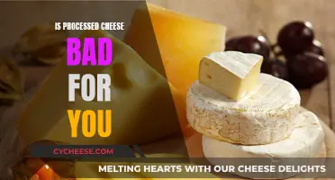 Processed Cheese: Is It Bad for Your Health?