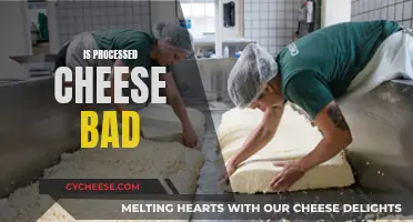 Processed Cheese: Is it Bad for Your Health?