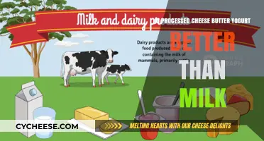 Processed Cheese vs. Butter vs. Yogurt: Healthier Than Milk?