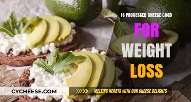 Processed Cheese and Weight Loss: Healthy Choice or Diet Saboteur?