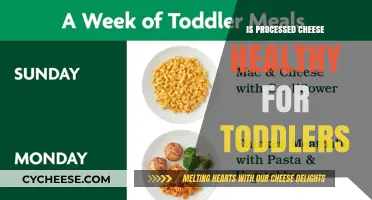 Processed Cheese: Healthy or Not for Toddlers?