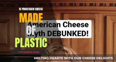 Cheese or Plastic? Unraveling the Mystery of Processed Cheese