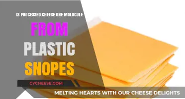 Processed Cheese and Plastic: Debunking the One Molecule Myth