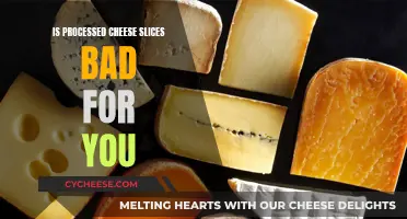 Processed Cheese Slices: Healthy or Harmful?