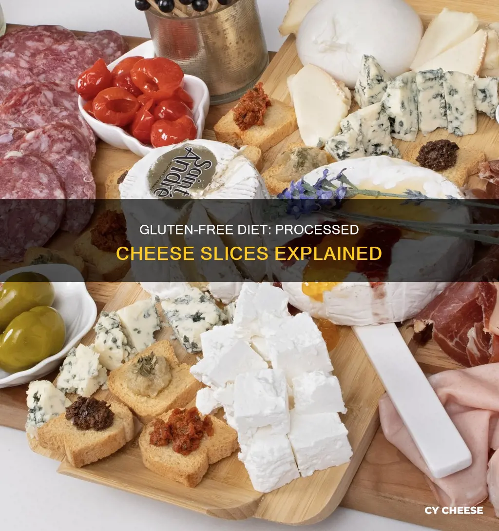 is processed cheese slices gluten free