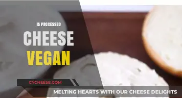 Is Processed Cheese Vegan? Unraveling Ingredients and Ethical Concerns