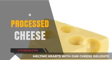 Is Processed Cheese Healthy? Unraveling the Truth Behind This Dairy Product