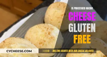 Gluten-Free Nacho Cheese: What You Need to Know
