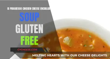 Gluten-Free Chicken Cheese Enchilada Soup: Is It Possible?