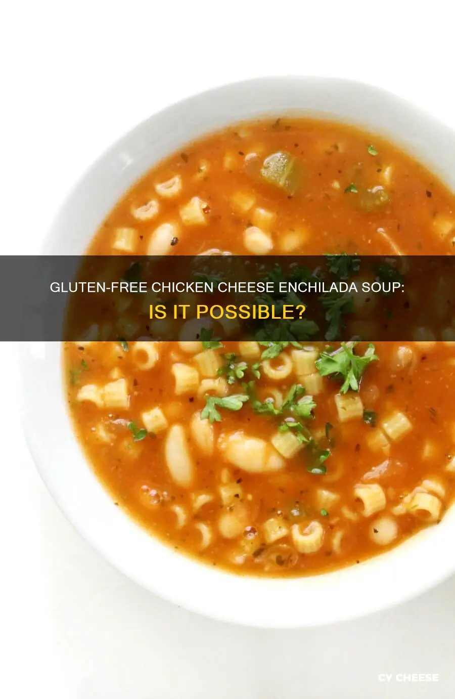 is progresso chicken cheese enchilada soup gluten free
