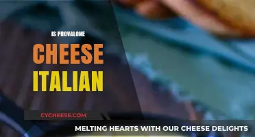 Is Provolone Cheese Italian? Unraveling the Origins of This Cheesy Delight