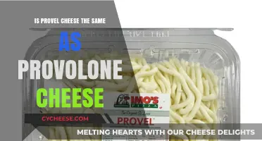 Provel vs. Provolone: Unraveling the Cheese Confusion