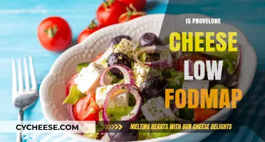 Is Provolone Cheese Low FODMAP? A Diet-Friendly Cheese Guide