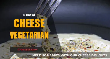 Is Provola Cheese Vegetarian? Unraveling the Dairy Dilemma for Veggies