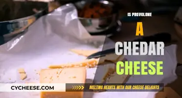 Provolone vs. Cheddar: Unraveling the Cheese Confusion and Differences