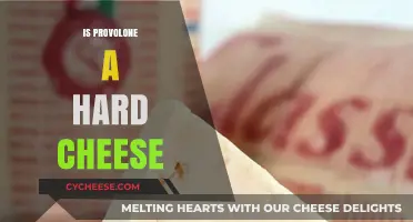 Is Provolone a Hard Cheese? Exploring Its Texture and Uses