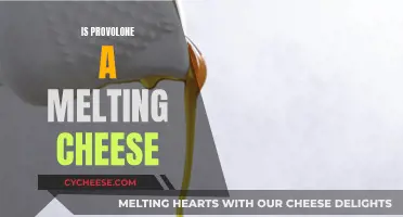Provolone: A Melting Cheese for Your Favorite Recipes?