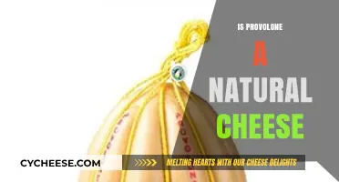 Is Provolone Natural? Exploring the Origins of This Popular Cheese